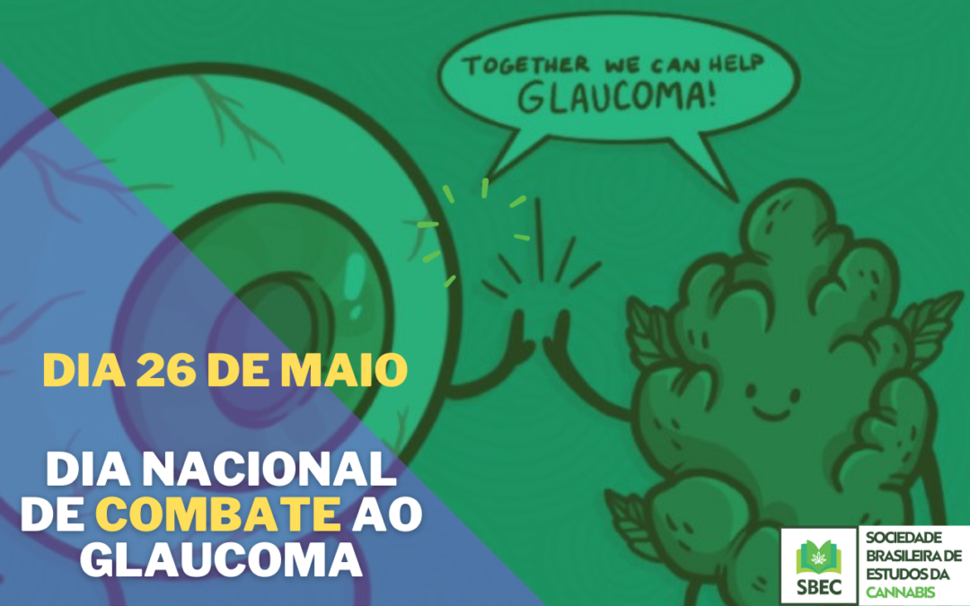 26/05 Dia Nacional de Combate ao Glaucoma