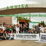 Anvisa aprova cultivo de Cannabis para fins medicinais e cria "Sandbox" histórico para regularizar Associações de Pacientes Anvisa aprova cultivo de Cannabis para fins medicinais